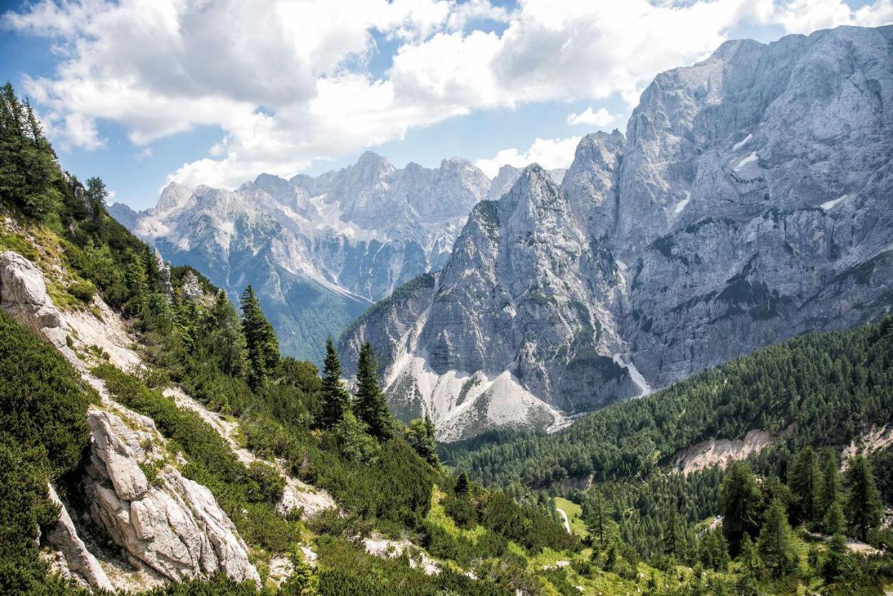 Sunny Retreat Apartment Kranjska Gora Εξωτερικό φωτογραφία