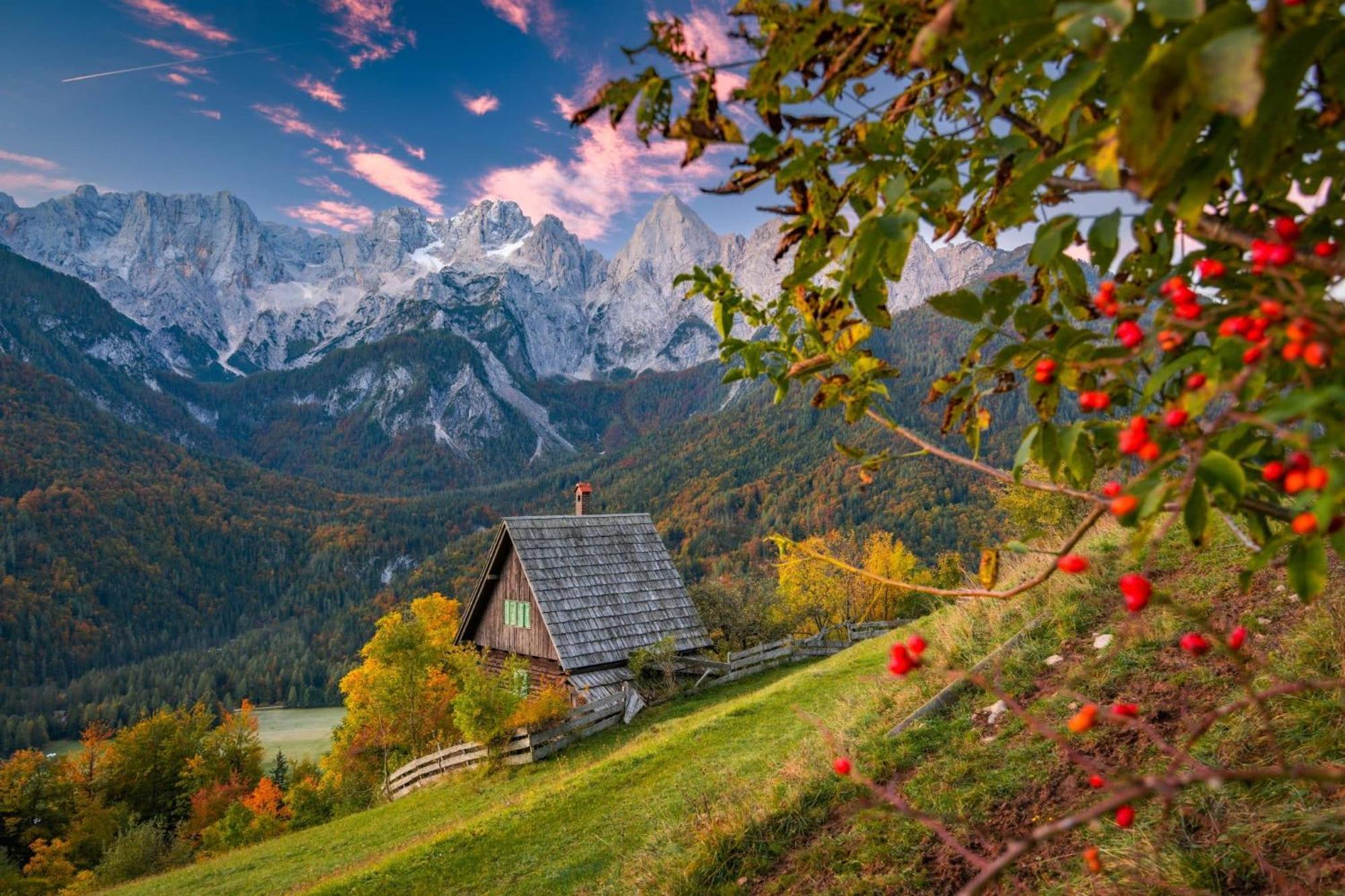 Sunny Retreat Apartment Kranjska Gora Εξωτερικό φωτογραφία
